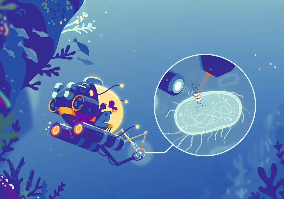Using a marine bacterium, researchers are studying how a sodium pump works. This knowledge could lead to new insights in neurobiology.