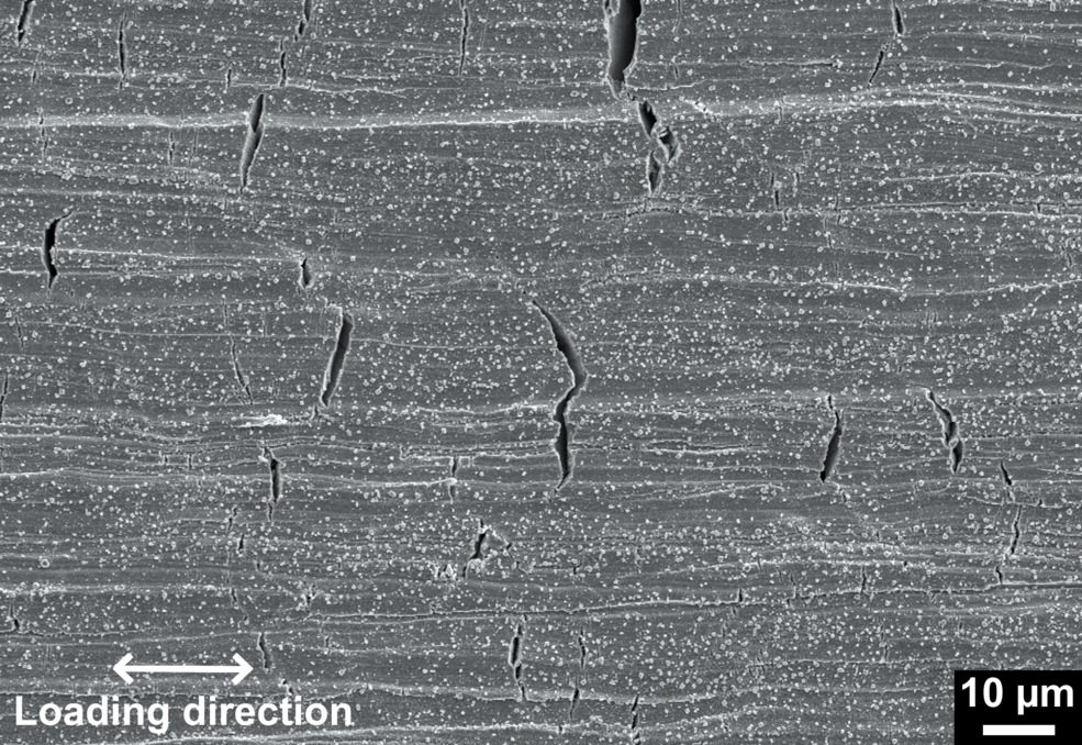 Scanning electron microscopy picture of stress corrosion cracks