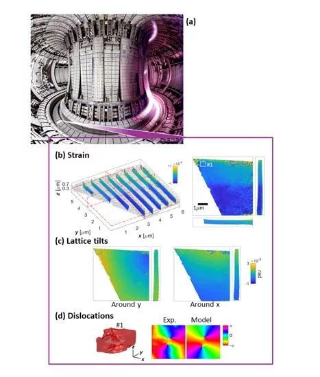 Revealing invisible defects in fusion reactor armor