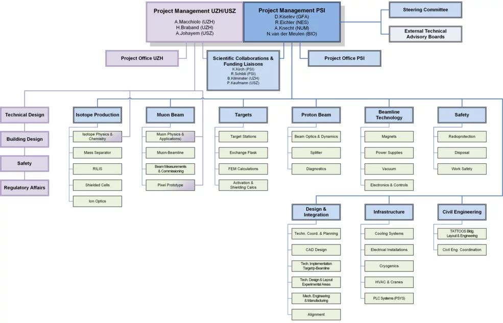 IMPACT organisational chart
