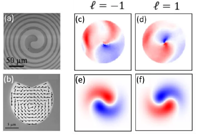 Helicoidal Dichroism in Experiment and Simulation