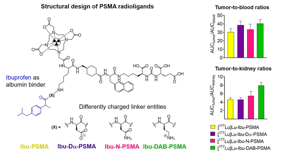 PSMA ligand design