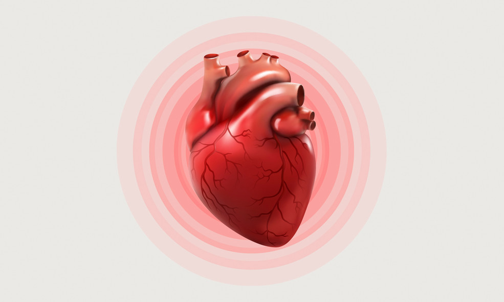 How the heart beats on a cellular level is not fully understood. By using tomographic X-ray imaging, researchers can investigate how the cellular structure changes while a heart beats.