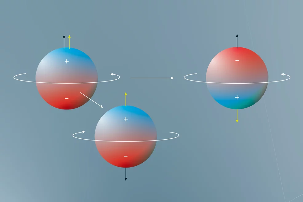 Das elektrische Dipolmoment des Neutrons