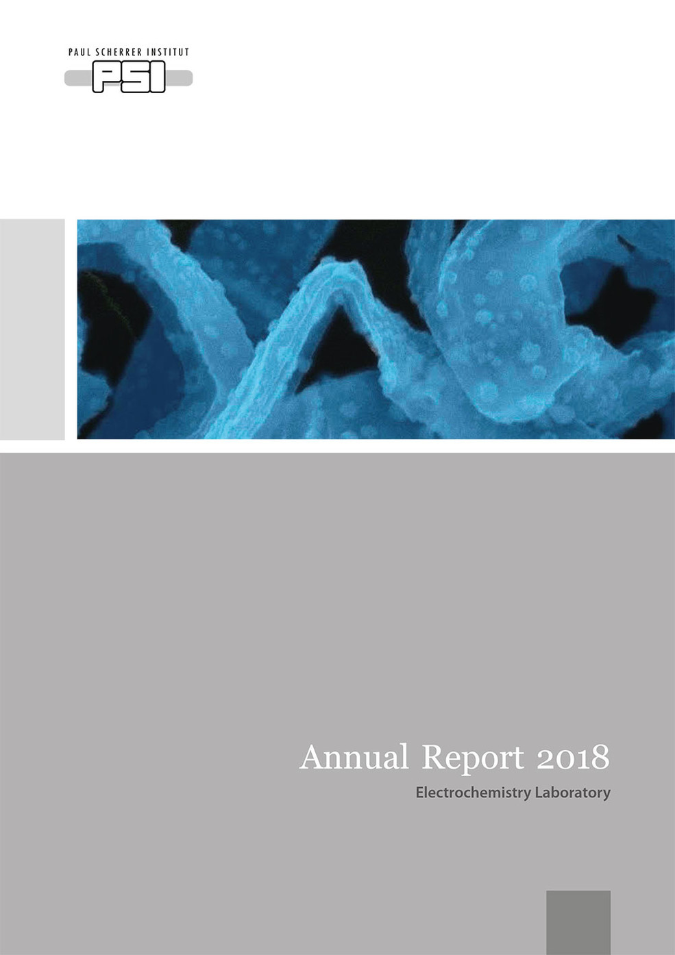 LEC annual report 2018