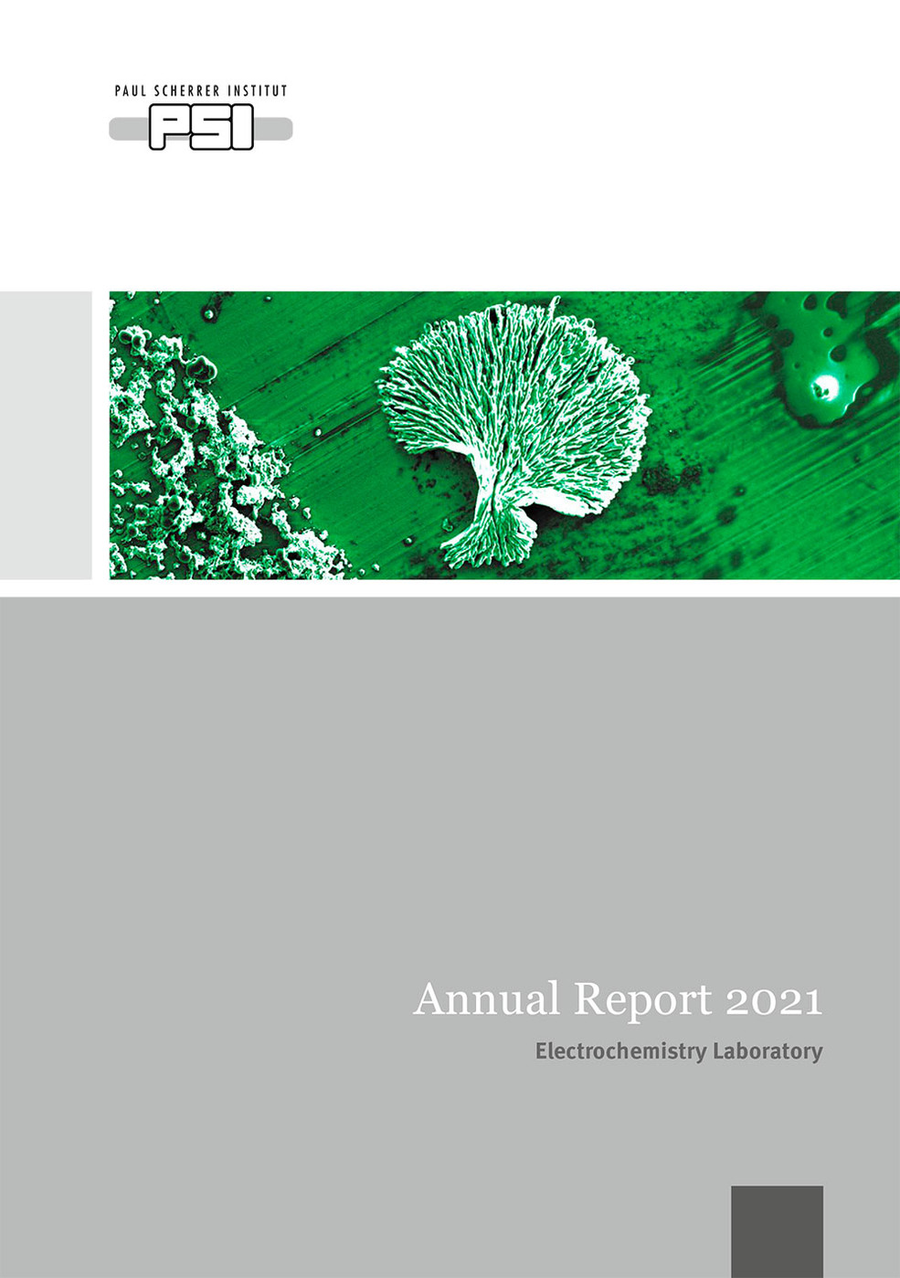 ECL Annual Report 2021