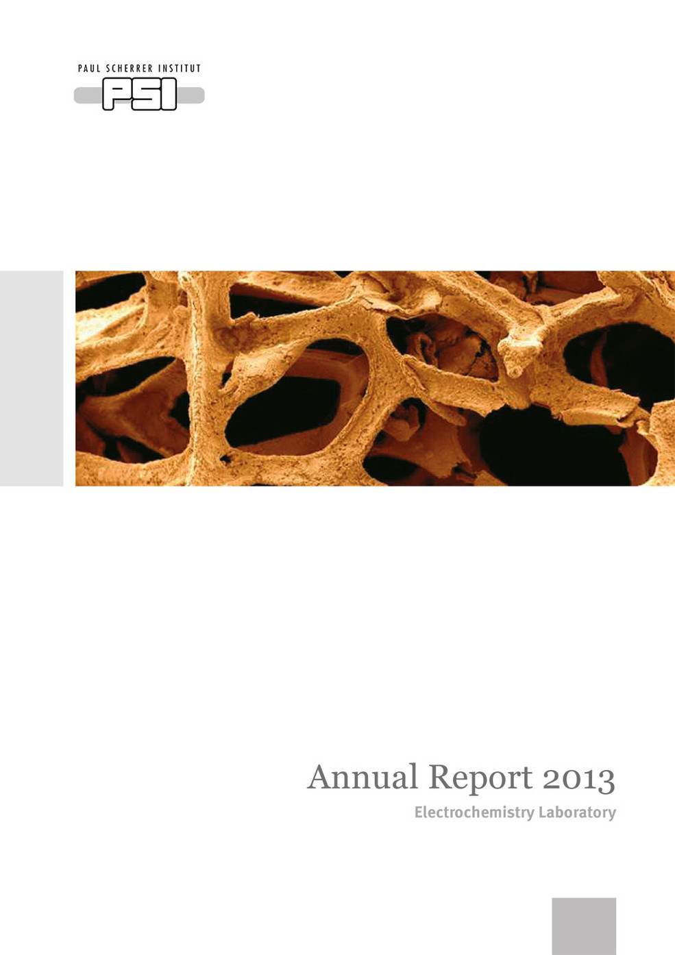 LEC annual report 2013