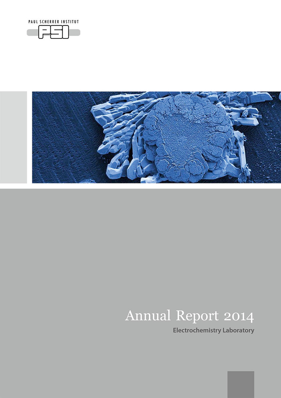 LEC annual report 2014