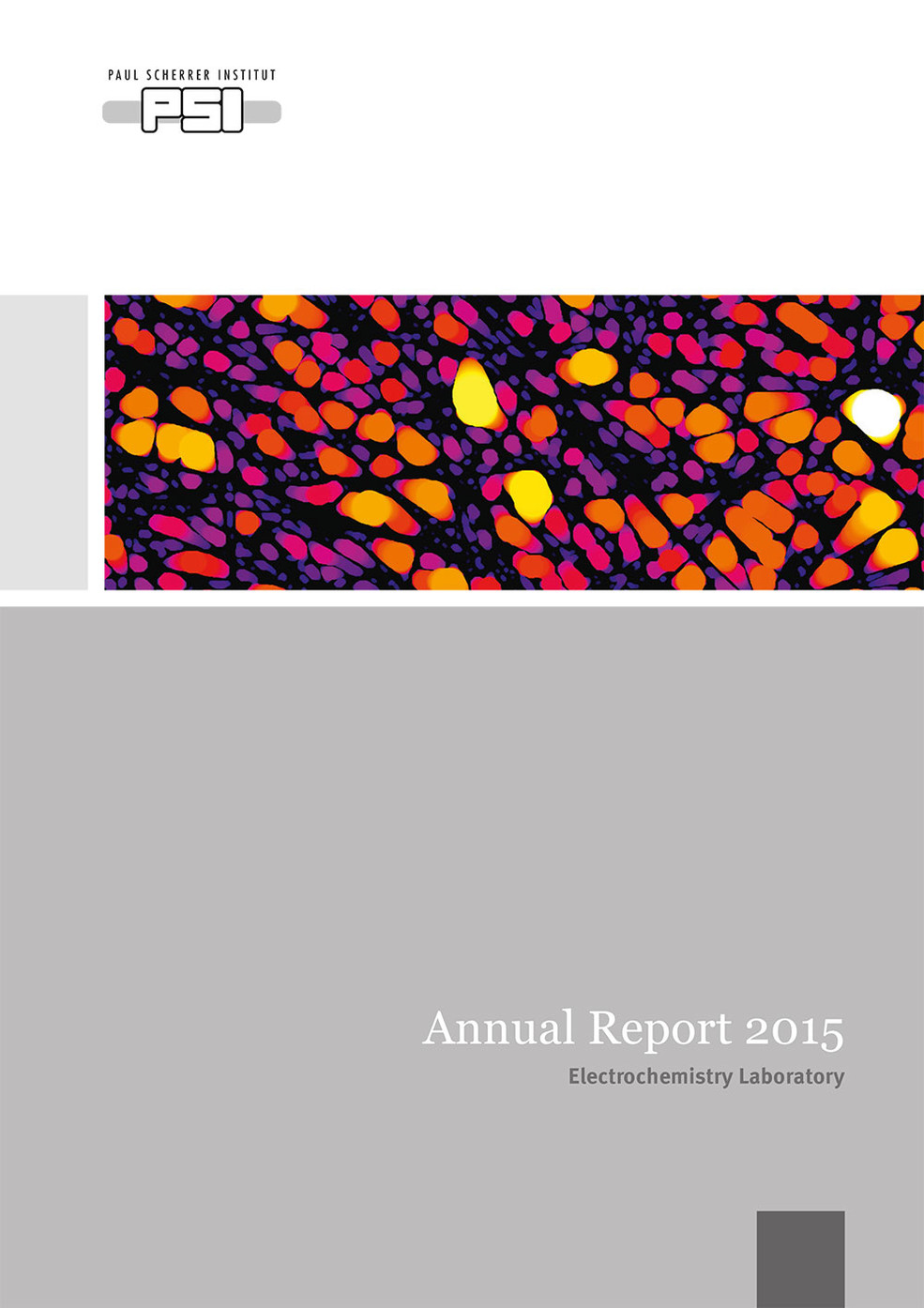 LEC annual report 2015