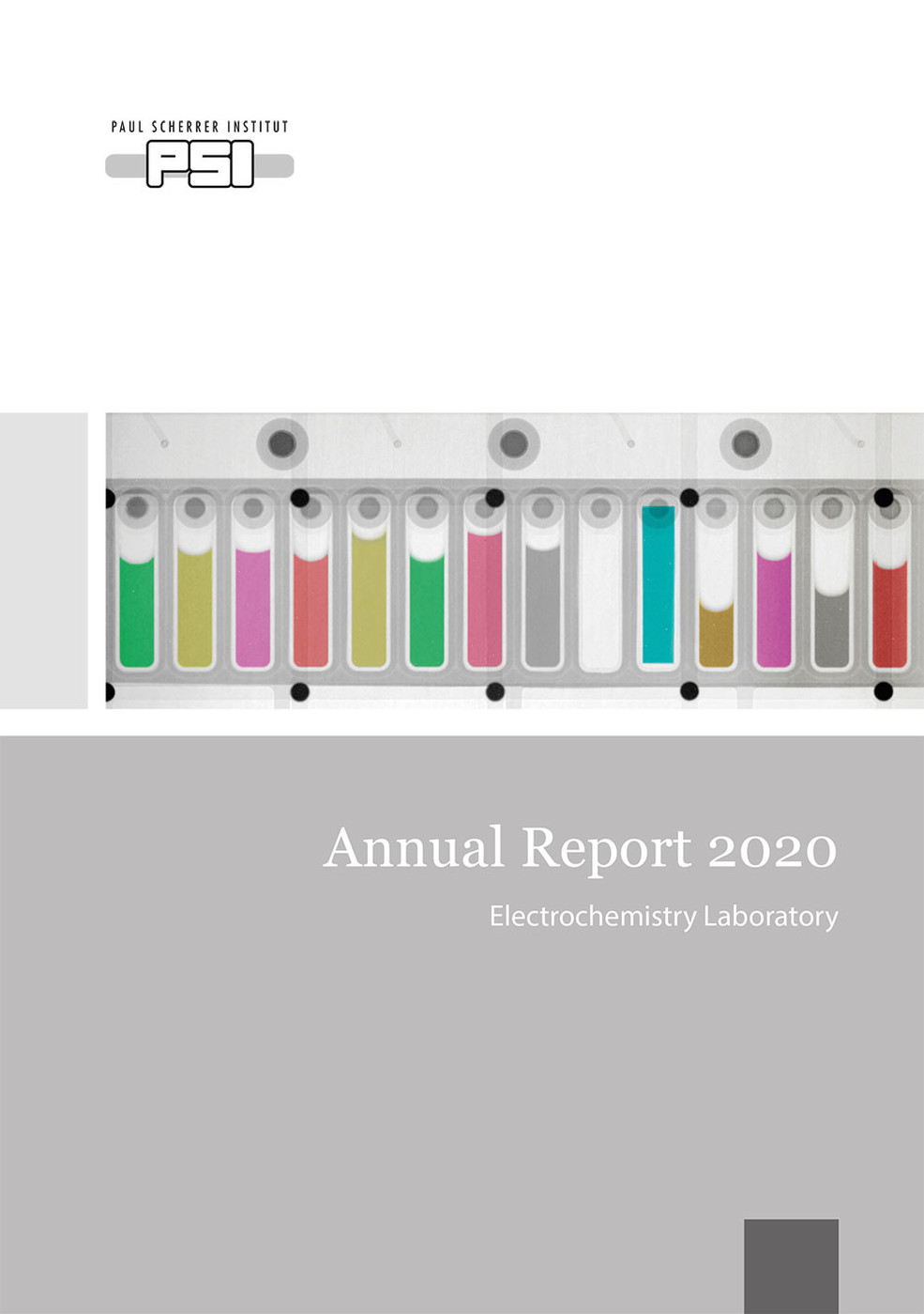 LEC Annual Report 2020
