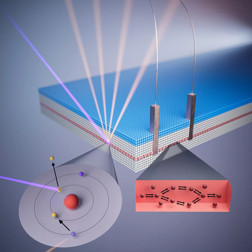 Si ∂-layer fluorescence microscopy