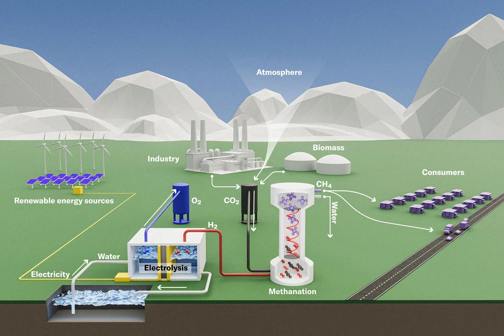 Schematic view of the value chain