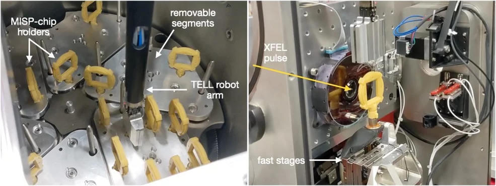 swissmx-tell-robot