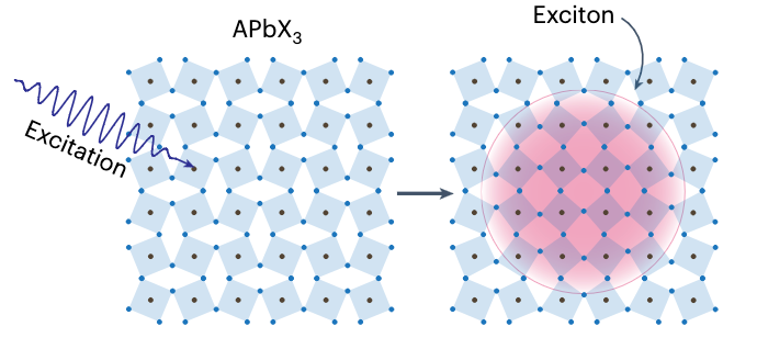Excitons coupling to octahedral tilts in Pb nano-perovskites