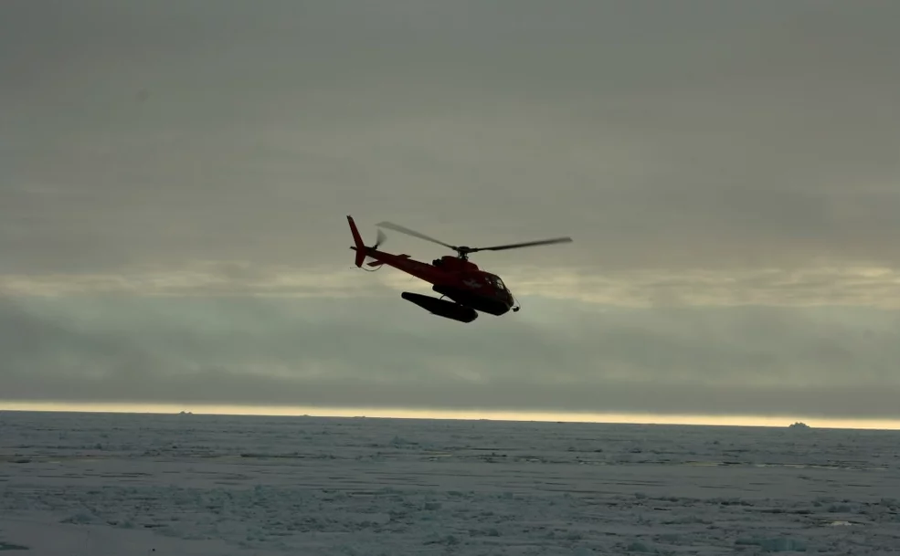 Looking for the ice floe.