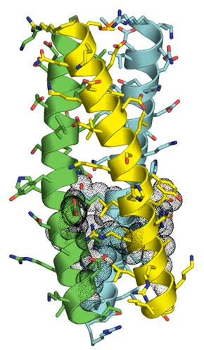 coiled-coil.png