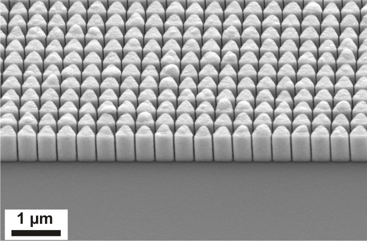 Scanning electron microscope images of gold lens structures designed for blazed operation in tilted geometry.