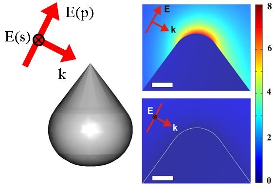 Fig.3 Enhancement of optical electic field at the metallic nano-tip: simulation