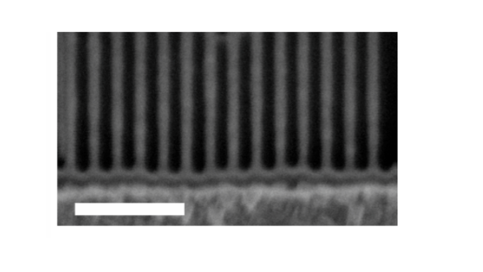 Suspended silicon nanowires fabricated using EUV interference lithography.
