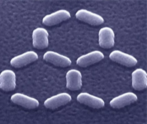 mesossys 01.jpg