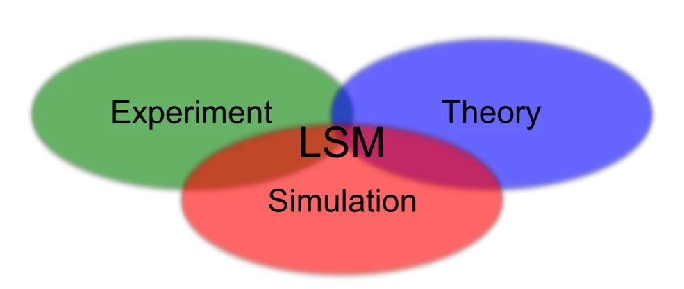 Vision LSM Vision LSM