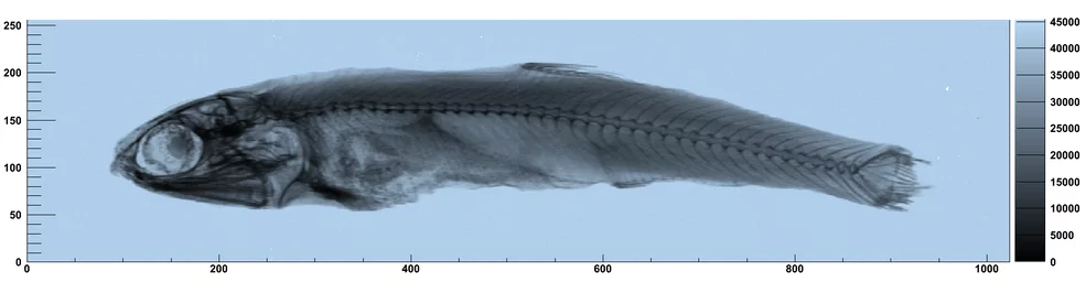 EIGER first half module picture (256 k pixel, Sept. 2011)