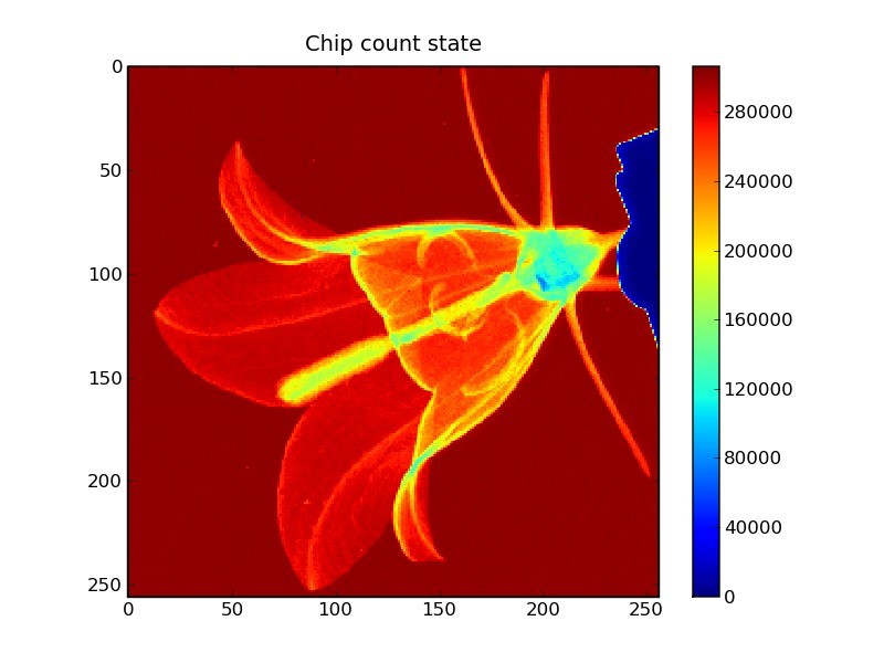 EIGER-Chip: flower in x-ray light