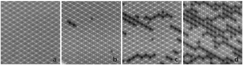Photos of the system during a real experiment at the Swiss Light Source SLS. Dark regions correspond to places where the magnetization direction is reversed. Image a corresponds to the initial state. In the images b, c und d the Dirac Strings which connect two magnetic monopoles can be clearly seen. The area shown is about 12 × 12 micrometres.