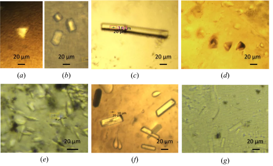 IMISXcryo crystals.png