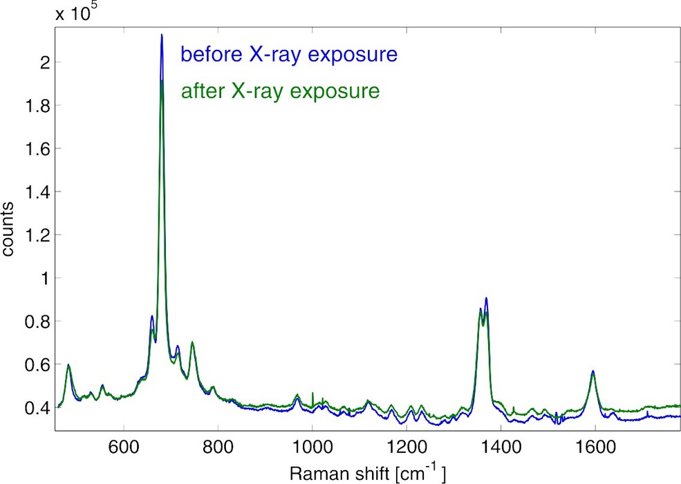 Figure 2: Example of Resonance Raman spectra before and after X-ray exposure. (413nm Laser)