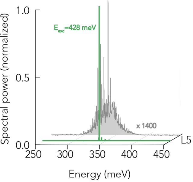 Fig2