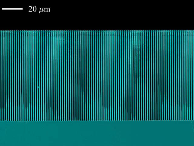 High-aspect-ratio grating.