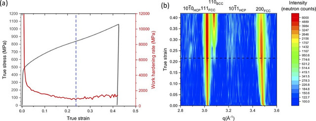 Fig.1 304L stainless steel processed by L-PBF. True stress–strain and work hardening rate of an ex-situ continuous test showing hardening after approximately 0.23 true strain (indicated with a blue dashed line). (b) Evolution of neutron diffraction patterns showing the martensite formation (appearance of the 110BCC, 1010HCP and 10-11HCP reflections) after approximately 0.23 true strain.