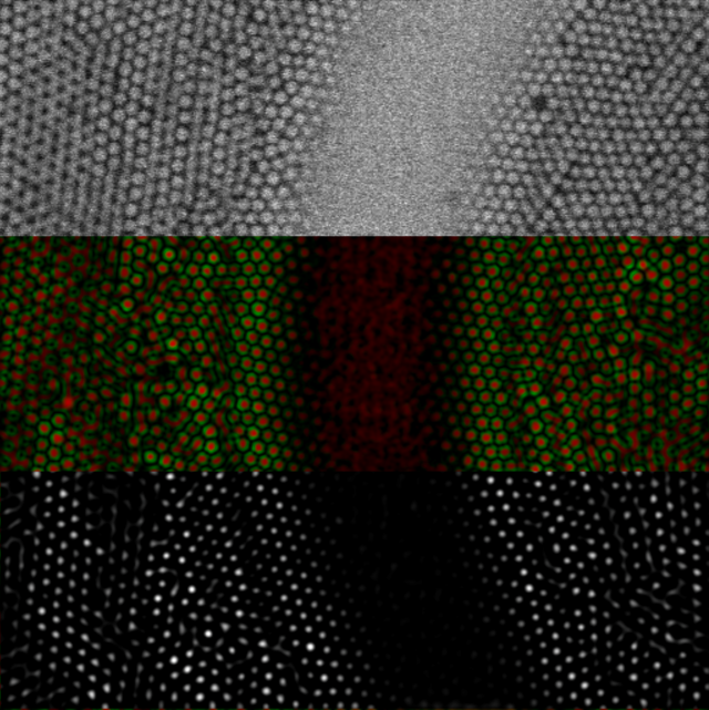 Confocal microscopy image of colloidal particles 