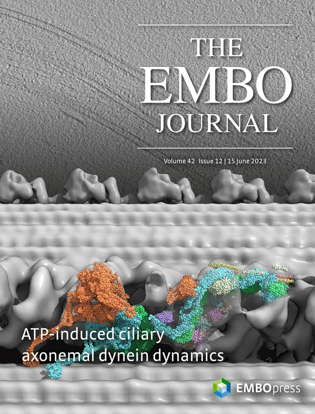 embj_cover.jpg