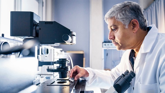 G.V. Shivashankar und seinem Team gelang es in einem Laborversuch, die Regeneration und Wundheilung von Hautgewebe mittels stammzellenähnlichen Fibroblasten erheblich zu beschleunigen.