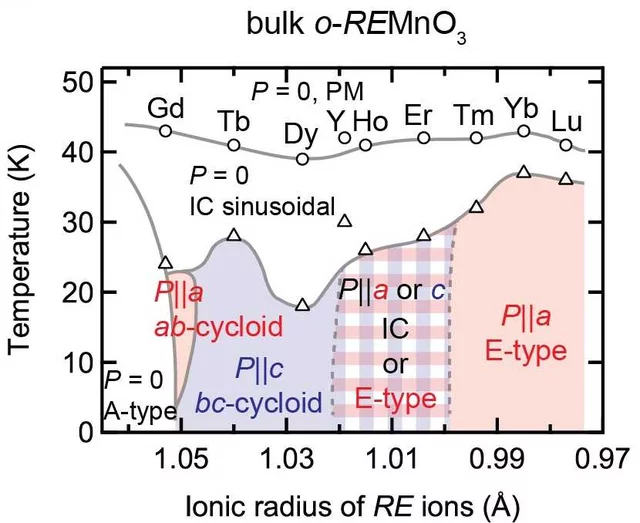 Bulk phase diagam of the orthorhombic REMnO3 family. Figure has been adopted from Ref [3]