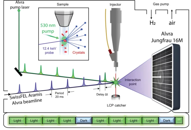 Schematic of the time-resolved experiment at the Alvra endstation.