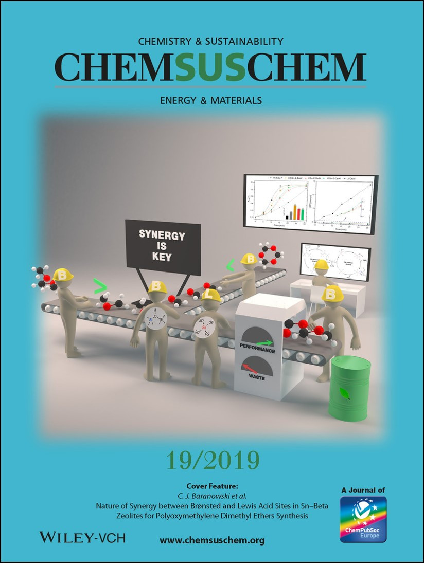 Cover Feature ChemSusChem 2019
