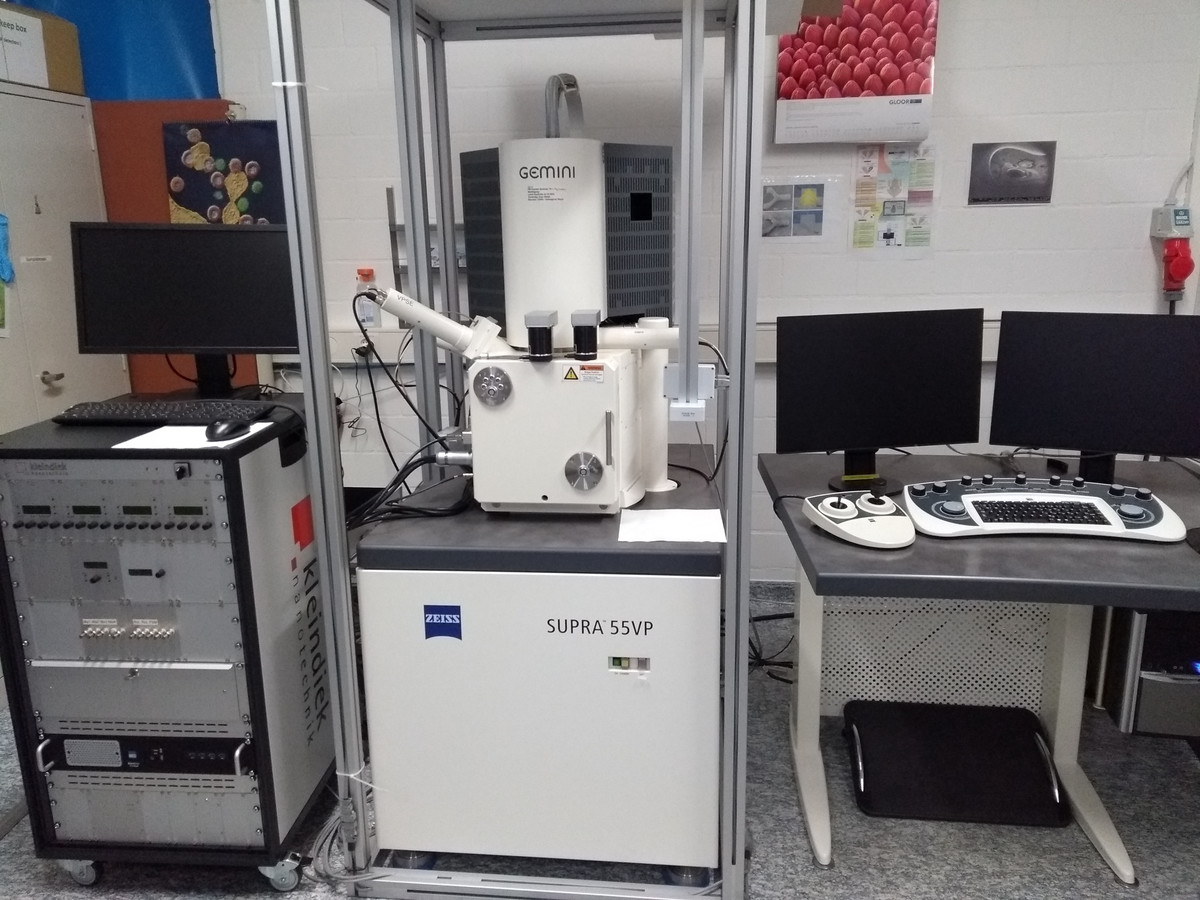 Zeiss VP55 Scanning electron microscope