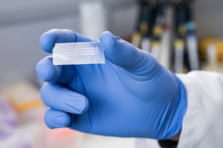Les plaques de test qui permettent d'identifier les anticorps contre divers agents pathogènes de manière rapide et fiable sont similaires aux lames des microscopes conventionnels et sont faciles à utiliser. (Photo: Institut Paul Scherrer/Marhir Dzambegovic)