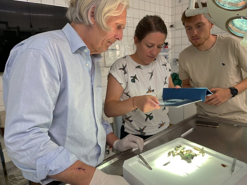 Pathologist Dr. Udo Hetzel (Uni Zurich) as well as Prof. Marianne Liebi and Torne Tänzer put the dead frog under the magnifying glass