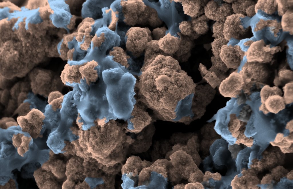SEM image of an anode catalyst layer for a polymer electrolyte water electrolyzer cell (catalyst brown and ionomer blue).
