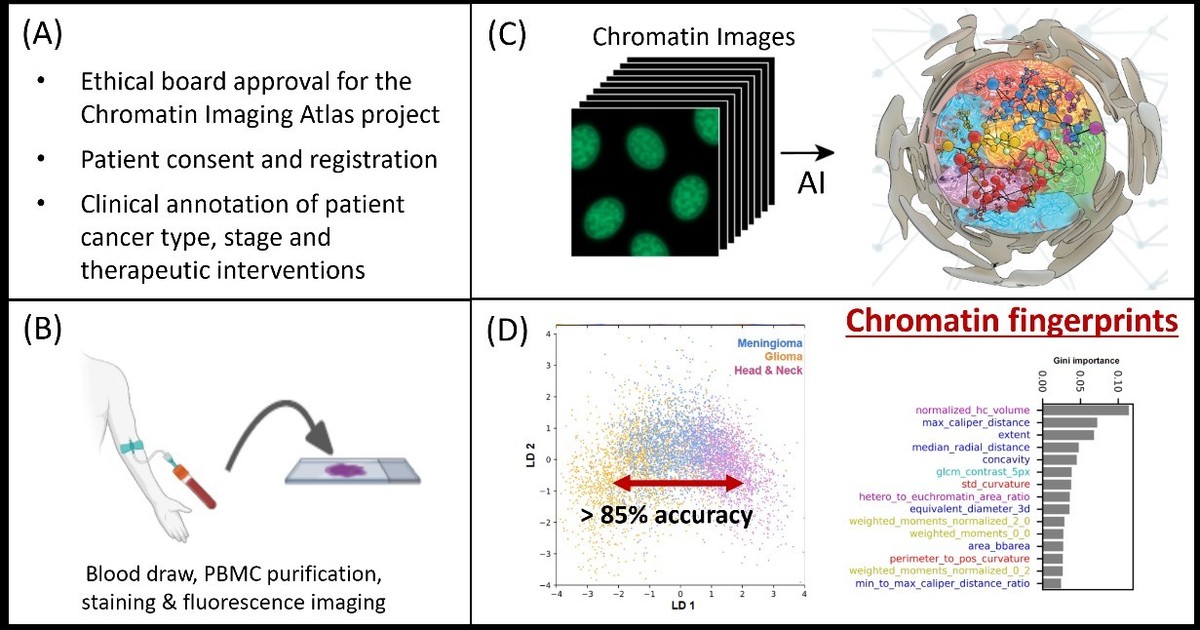 The four steps in establishing a Chromatin Imaging Atlas
