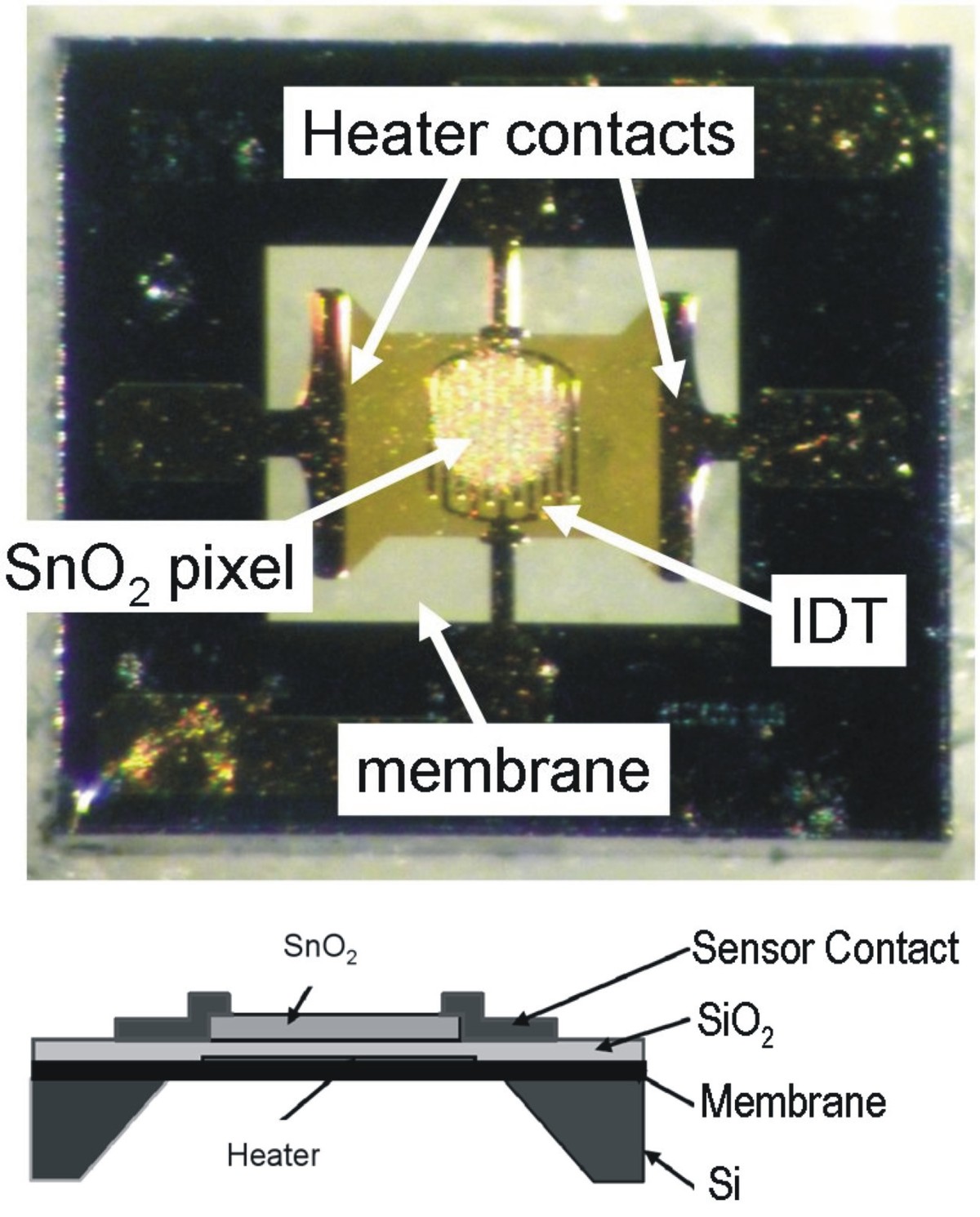 LIFT printed SnO2 sensor and schematics of a Microsens gas sensor