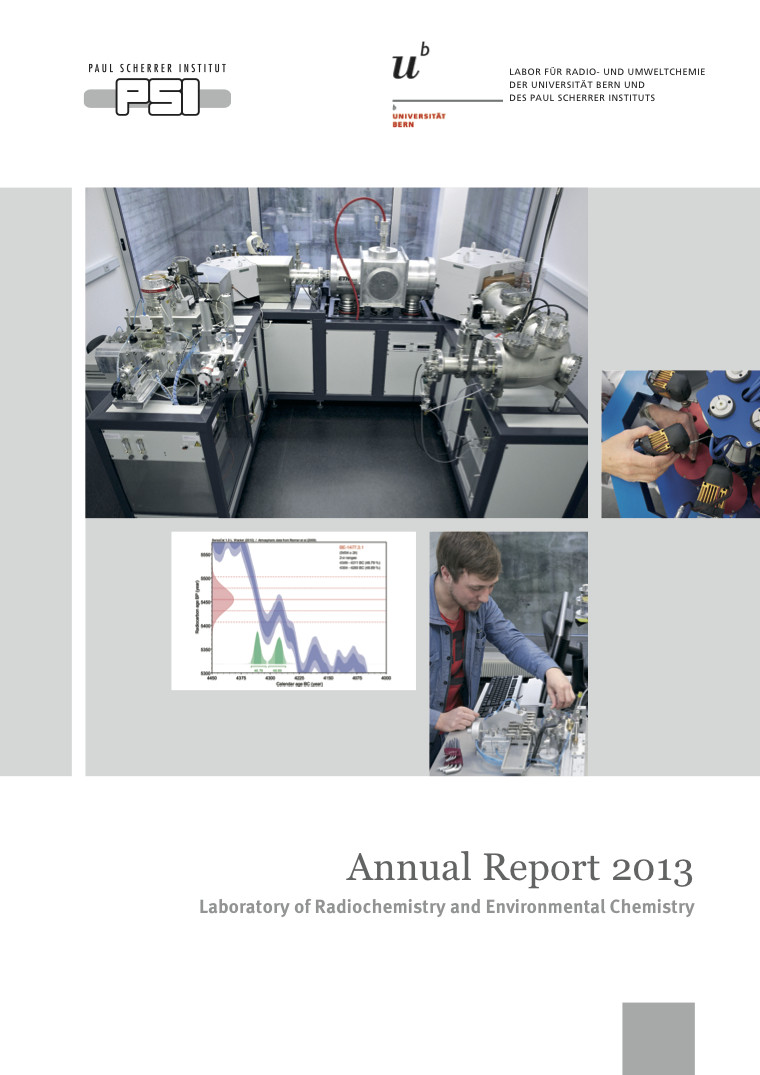 PSI LCH AnnualReport2013.jpg