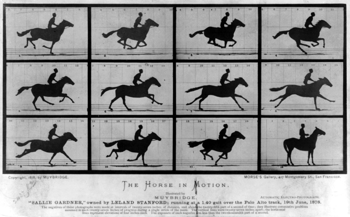 Die ersten Hochgeschwindigkeitsaufnahmen: 1878 machte Eadweard Muybridge eine Reihe von Aufnahmen eines galoppierenden Pferdes und zeigte so, dass ein Pferd im Galopp für einen kurzen Augenblick mit allen vier Hufen vom Boden ab. Die Grundidee dieser Fotoreihe ähnelt dem bei der neuen Untersuchungsmethode für den SwissFEL verwendeten Ansatz. (Quelle: Library of Congress Prints and Photographs Division Washington, D.C. 20540 USA)