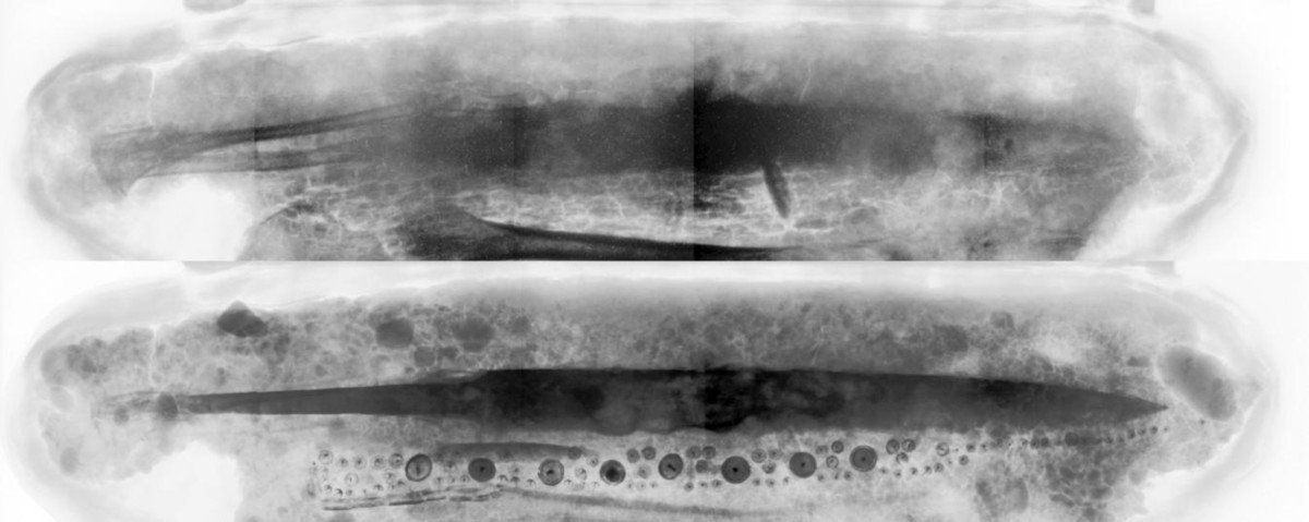 Figure 2: Top: Neutron radiograph showing bones, leather (better visible with neutrons). Bottom: X-ray image of block with sword, knife and metallic decoration (better visible with X-rays)