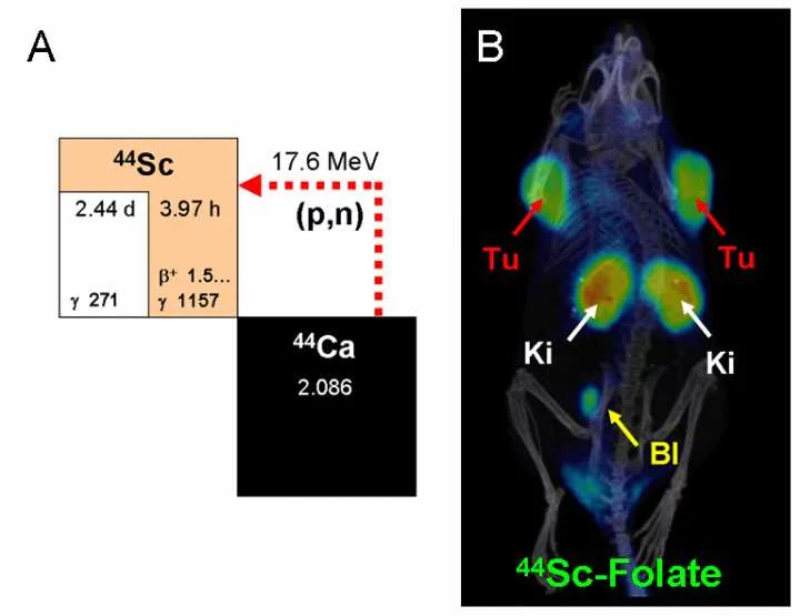 Production route of 44Sc