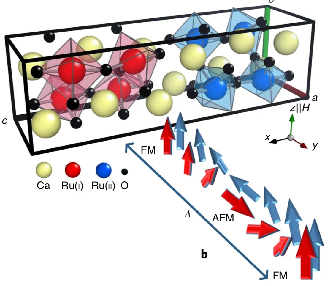 Metamagnetic texture in a polar antiferromagnet